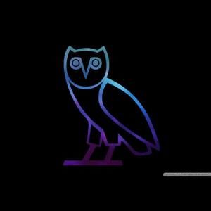 Meet your Posher, Cole